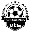 VTS Salines